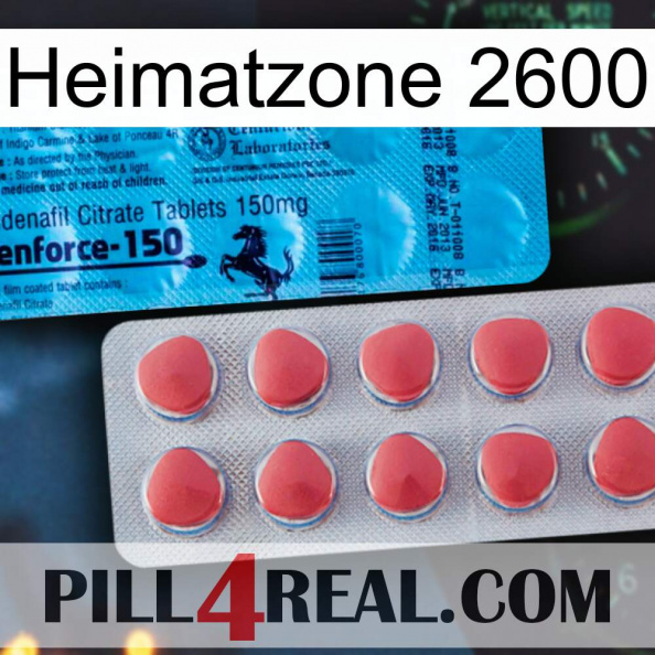 Home Zone 2600 new14